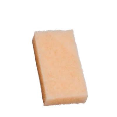 Aero Bug Scrubber Pad